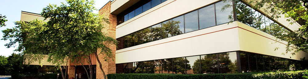 Service Insurance Agency - Management and Agents