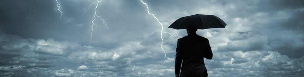 Service Insurance Agency - Home Owners